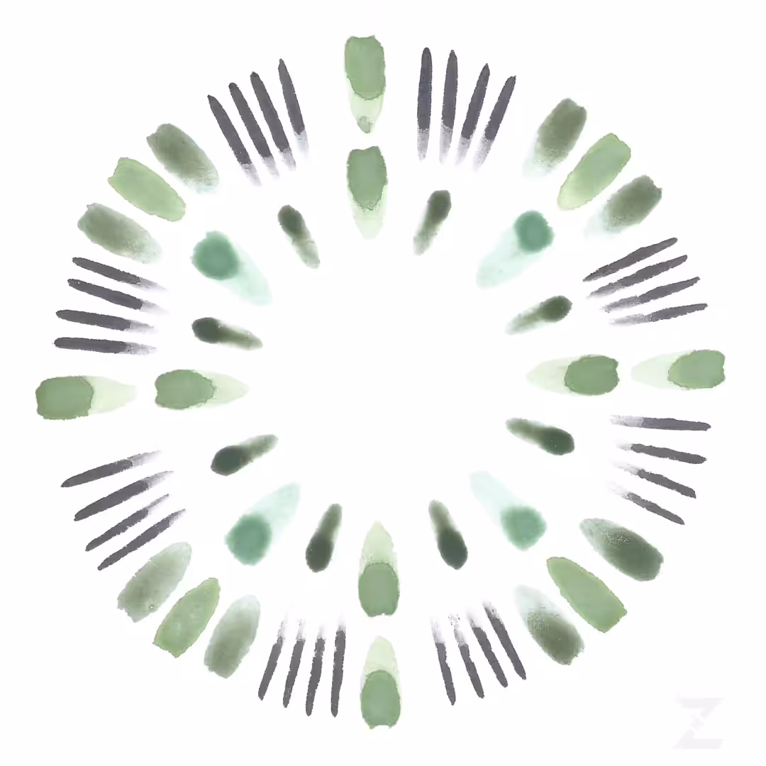 PLANTING | METAMORPHA COLLECTION