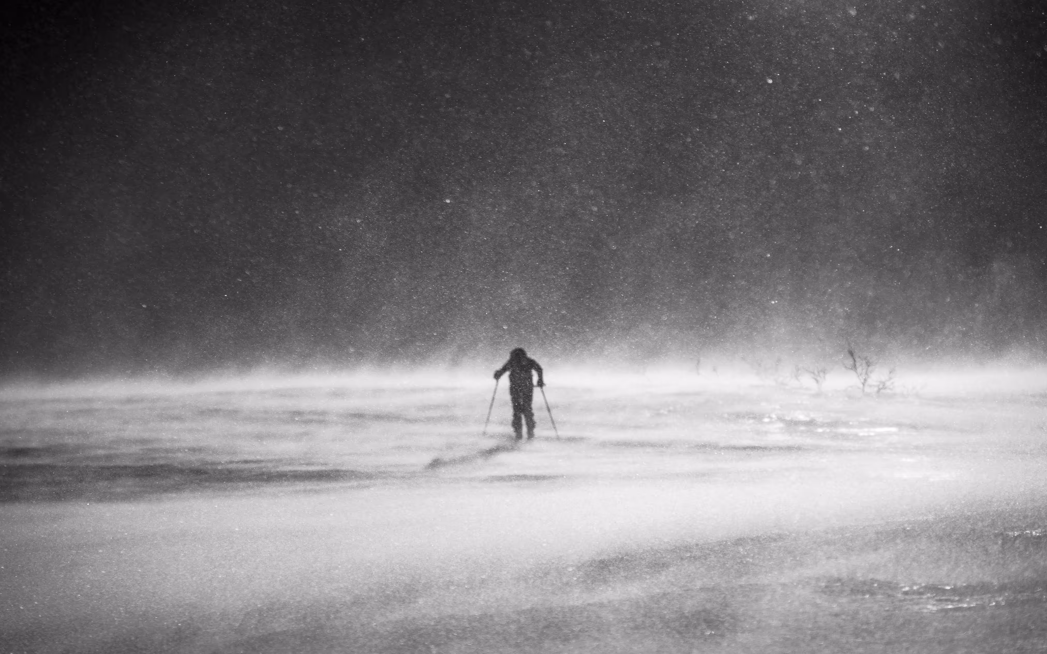 Lonesome traveler