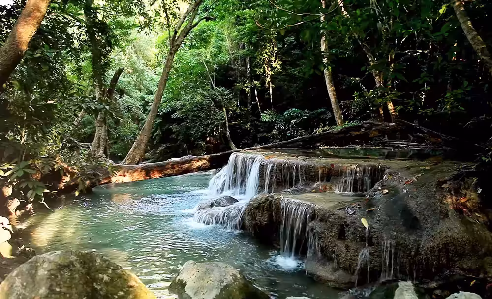 Nature