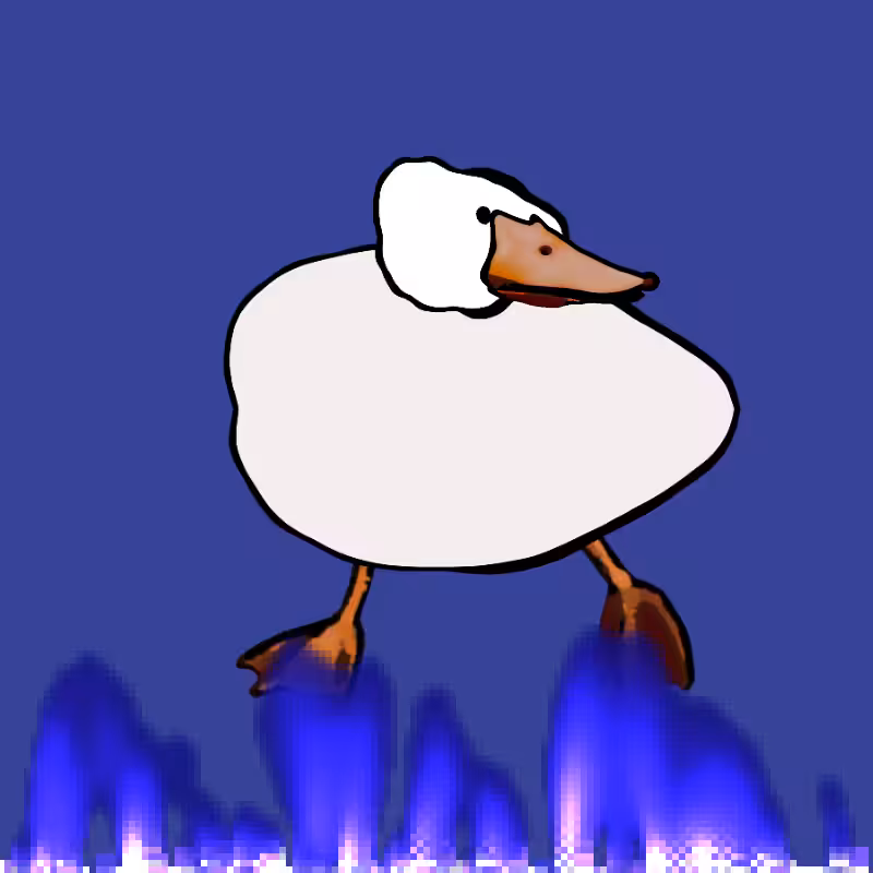 What The Duck #5
