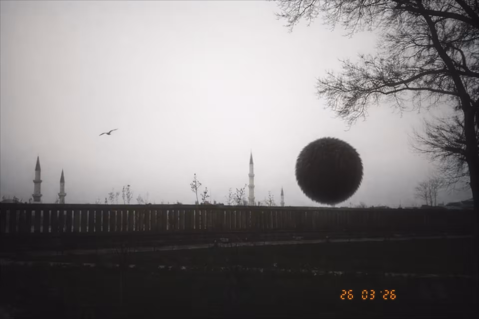 Mr. Cosmo`s adventures: Horizon