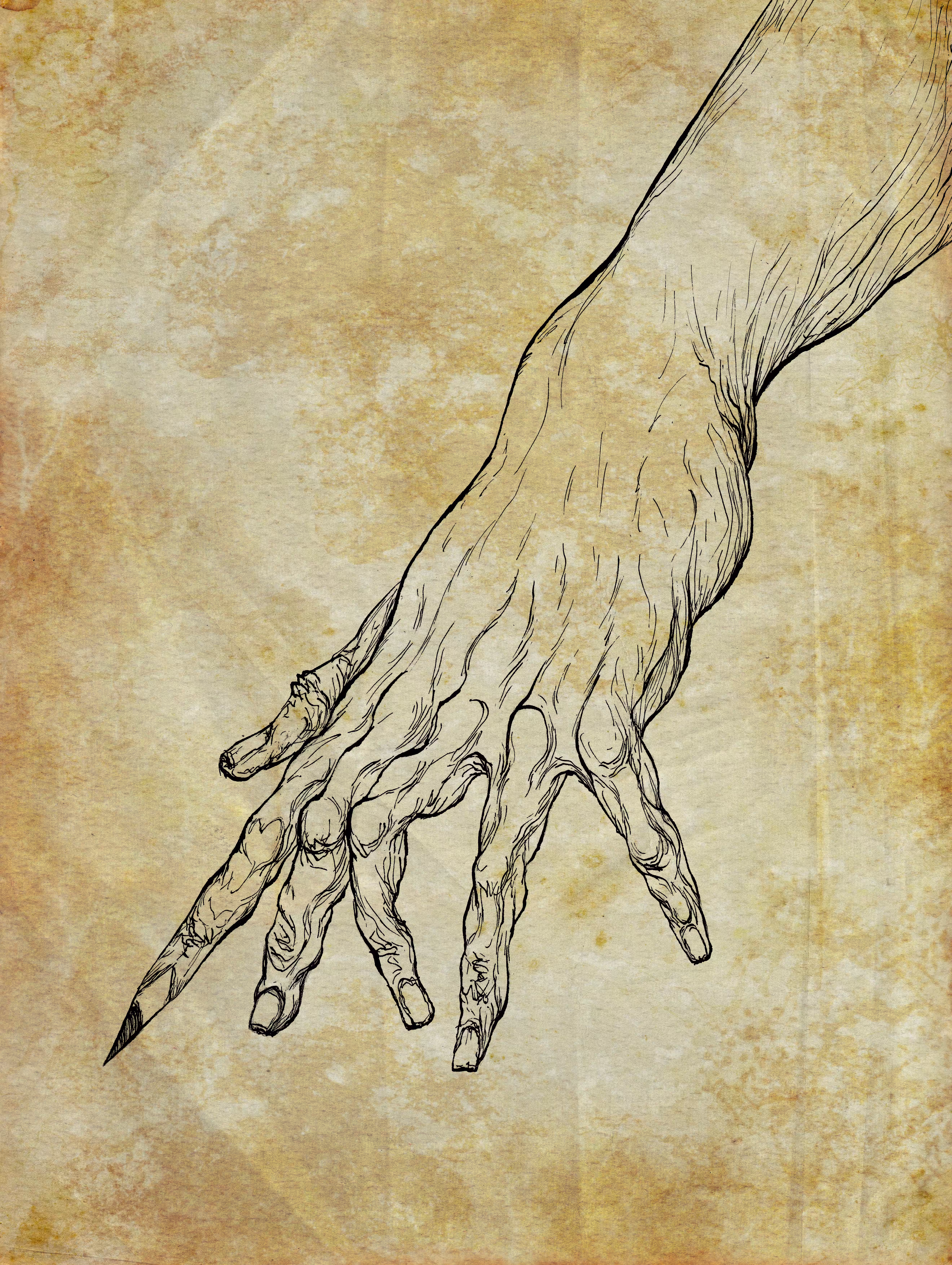 Hand of the writer