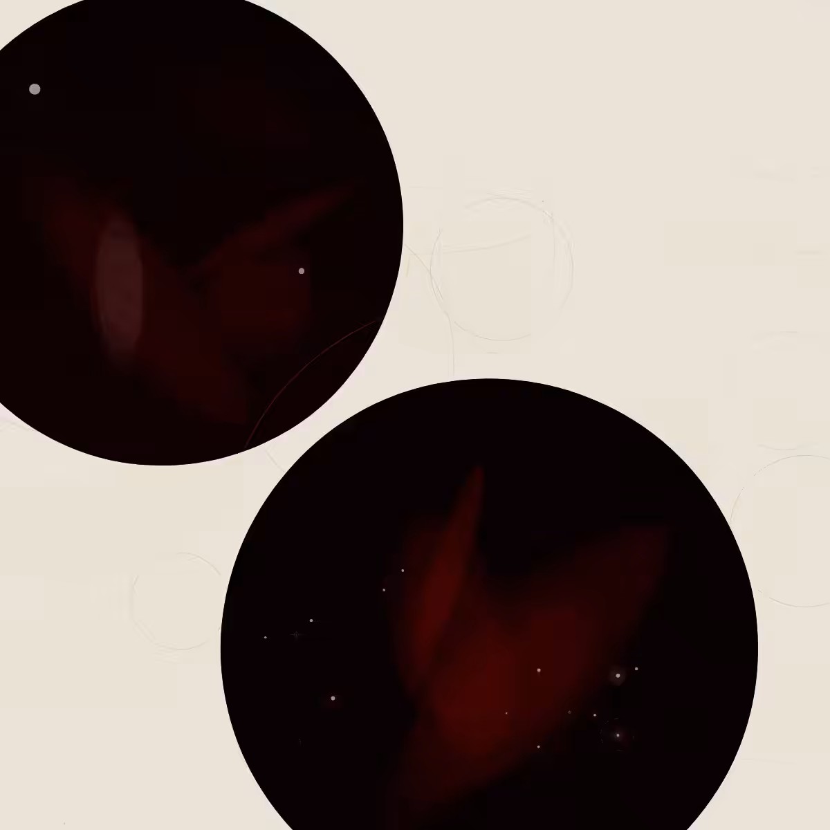 SYSTEMS #78