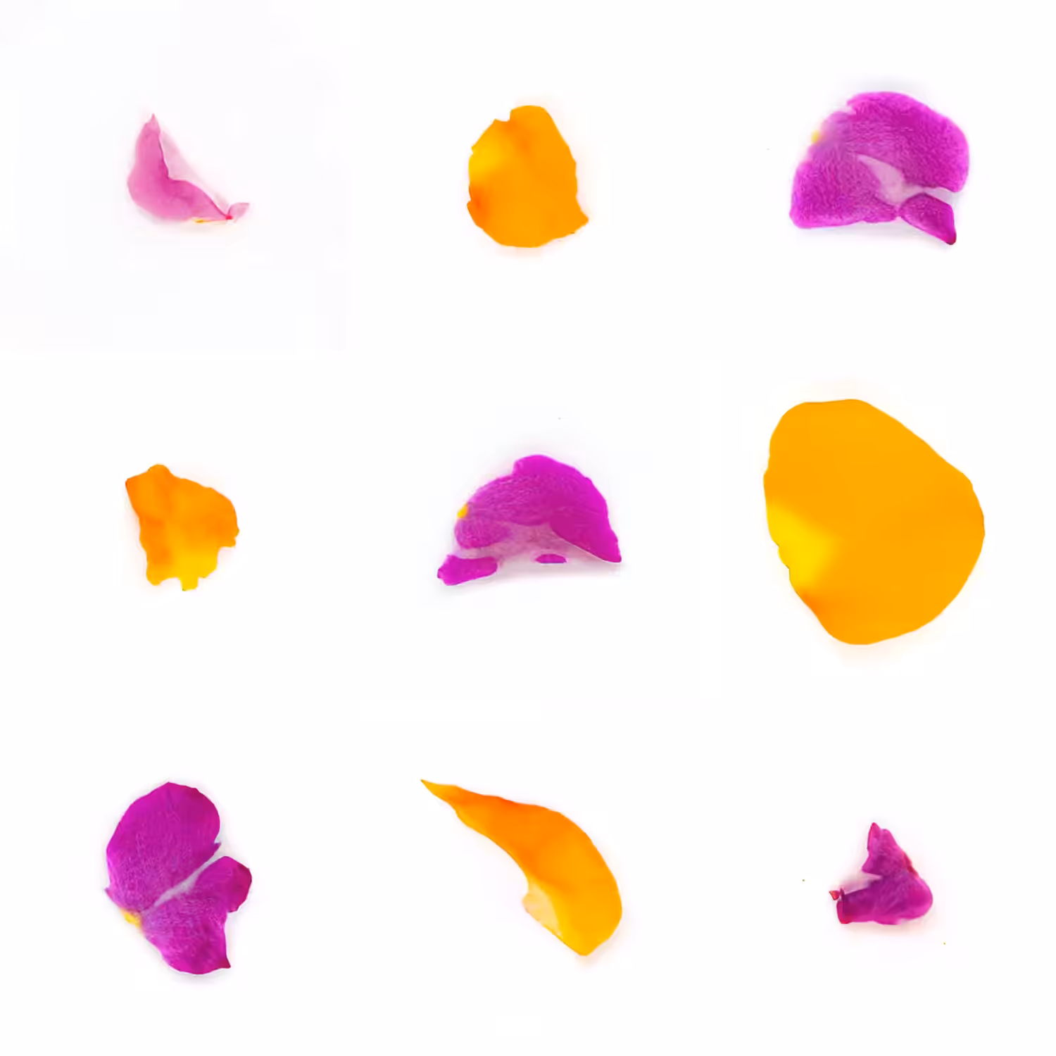 Infinite Petals 3x3#20082