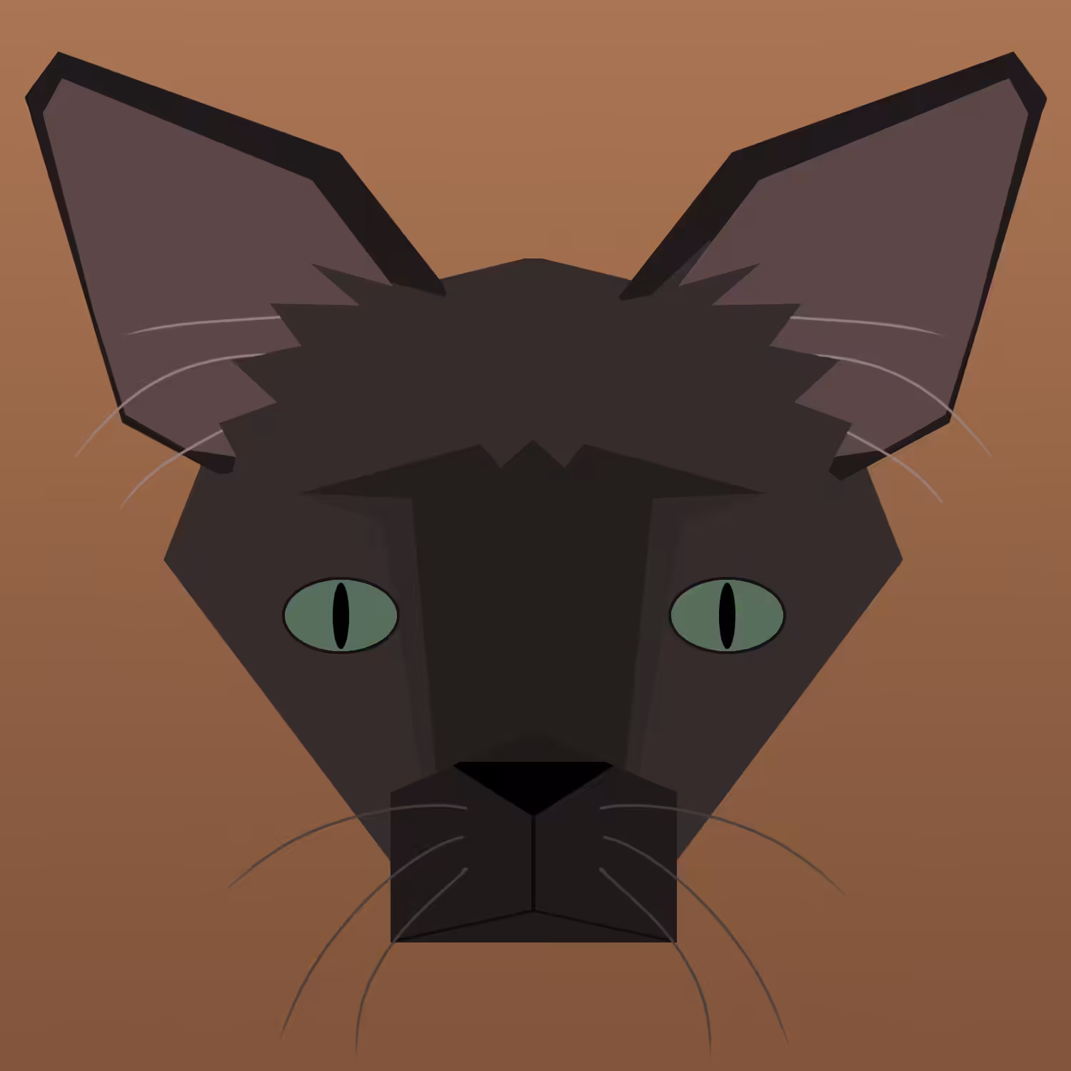kitty #15 - havana