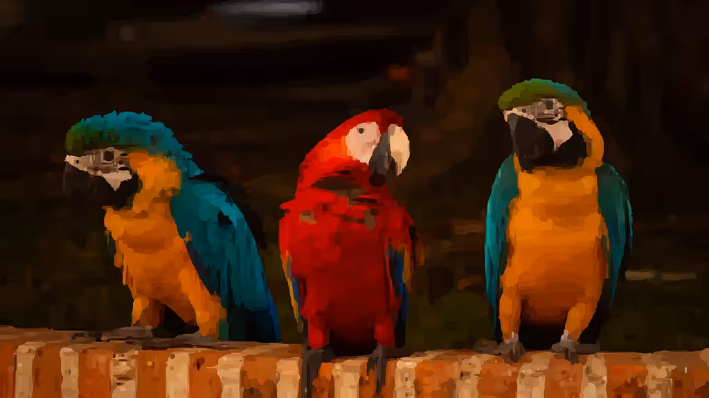 The Three Macaws - Ellipses