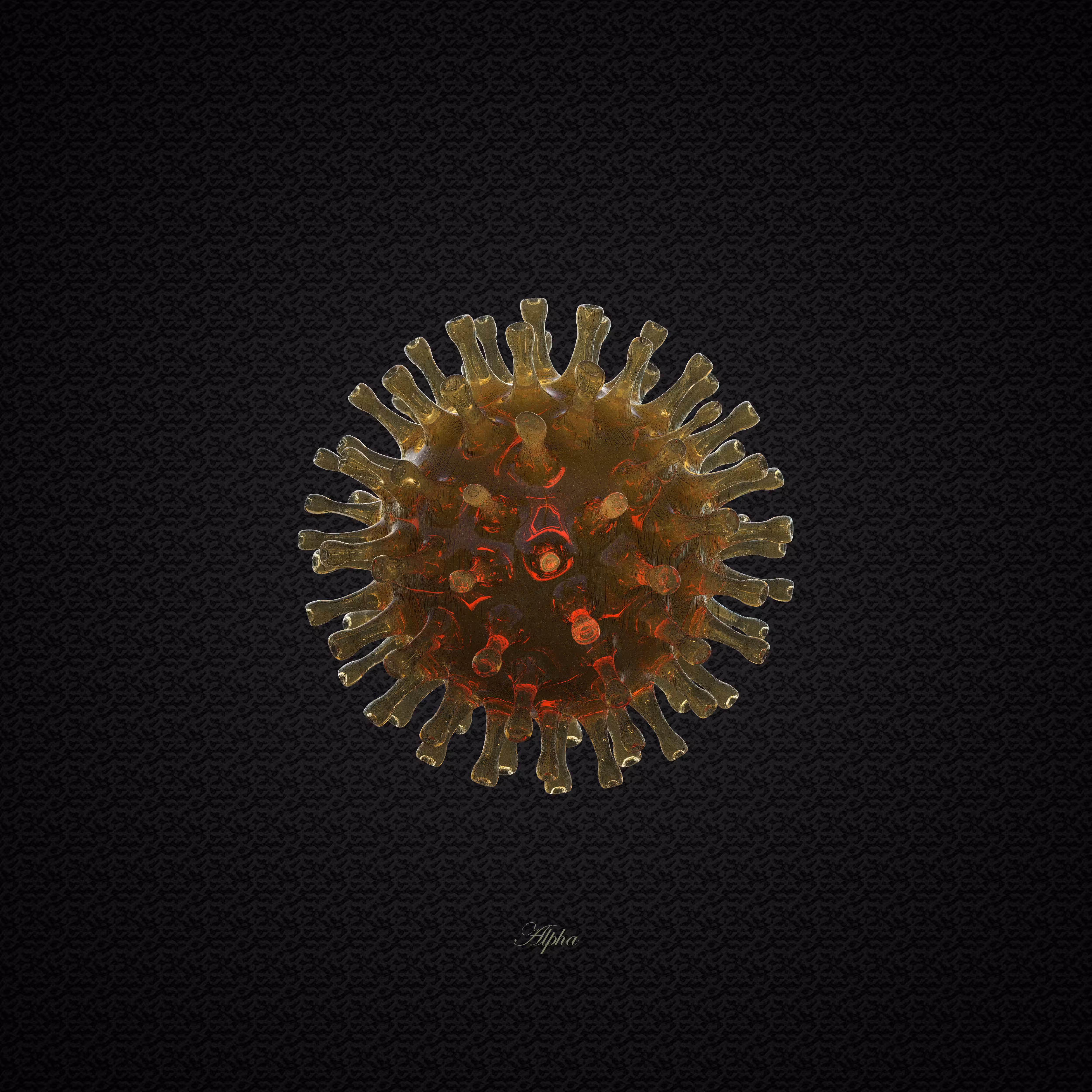 Strain I