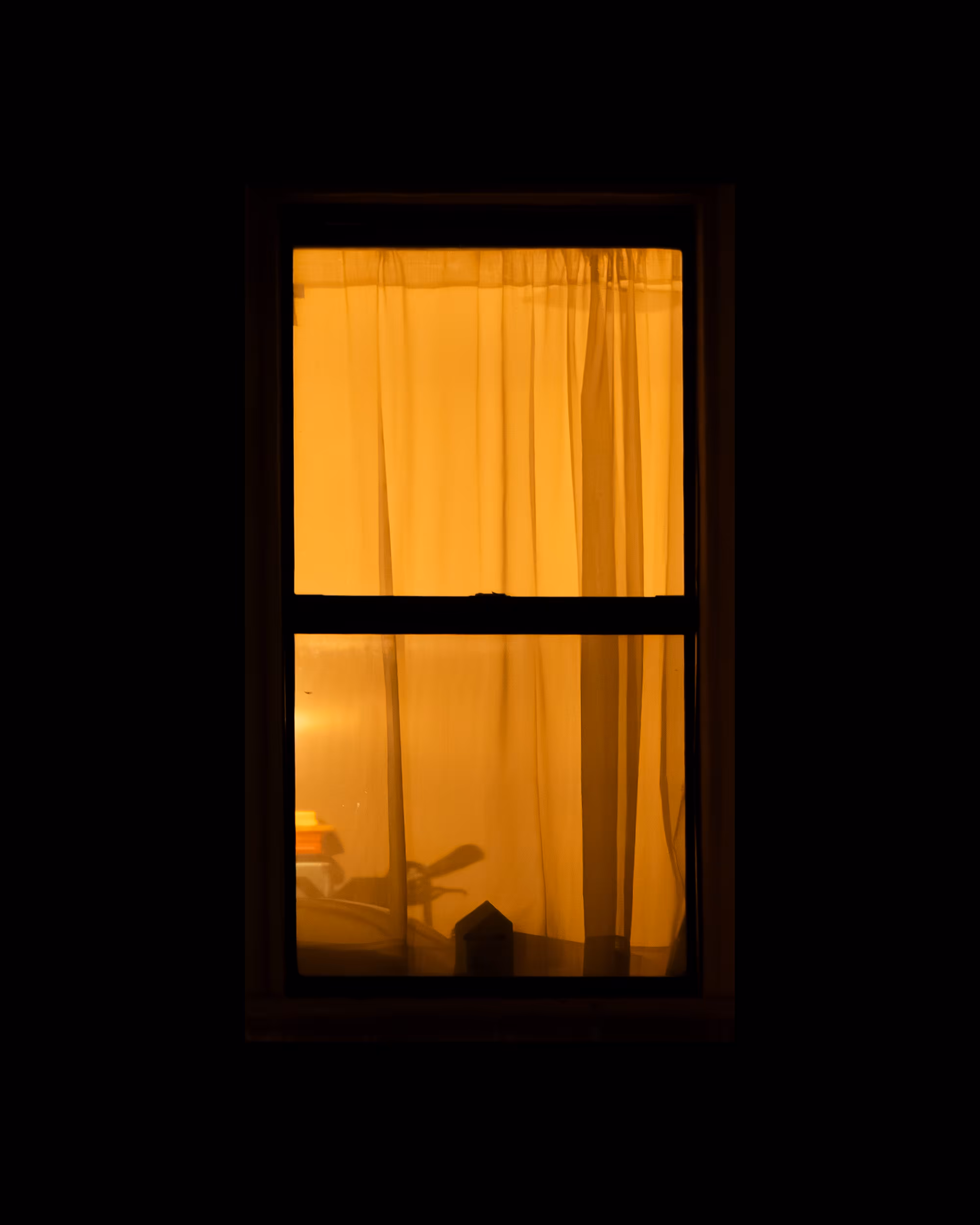 WINDOWS // NYC: WINDOW 452