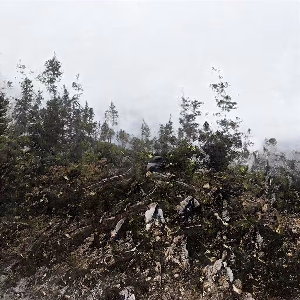 Fabricating Future Forests 0112