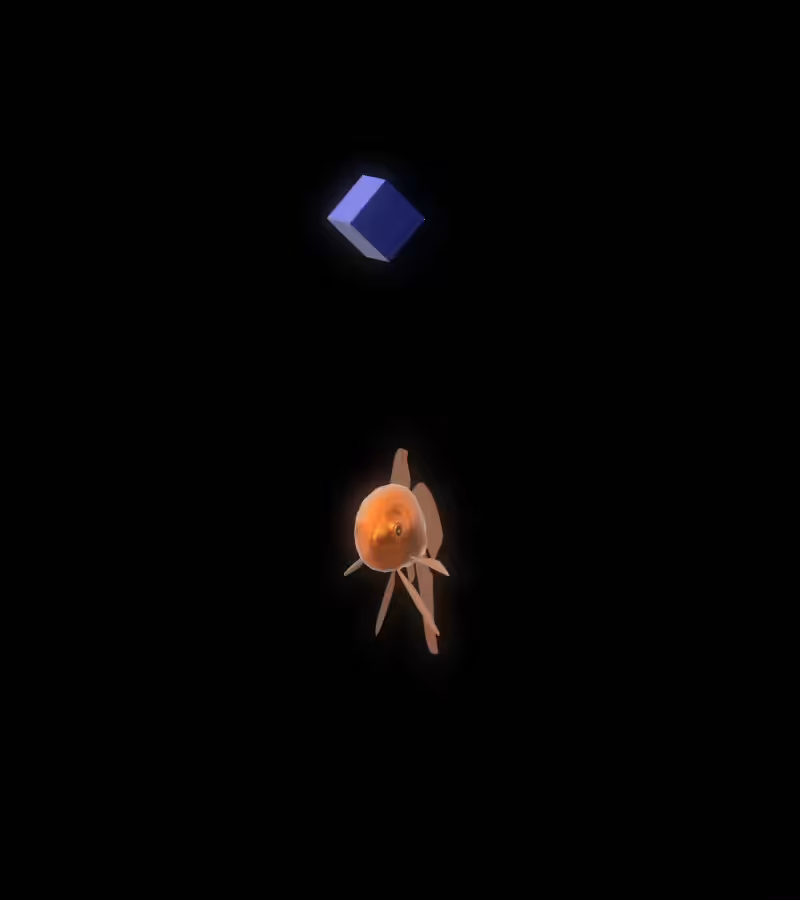 🐟 𝔽𝕚𝕤𝕙