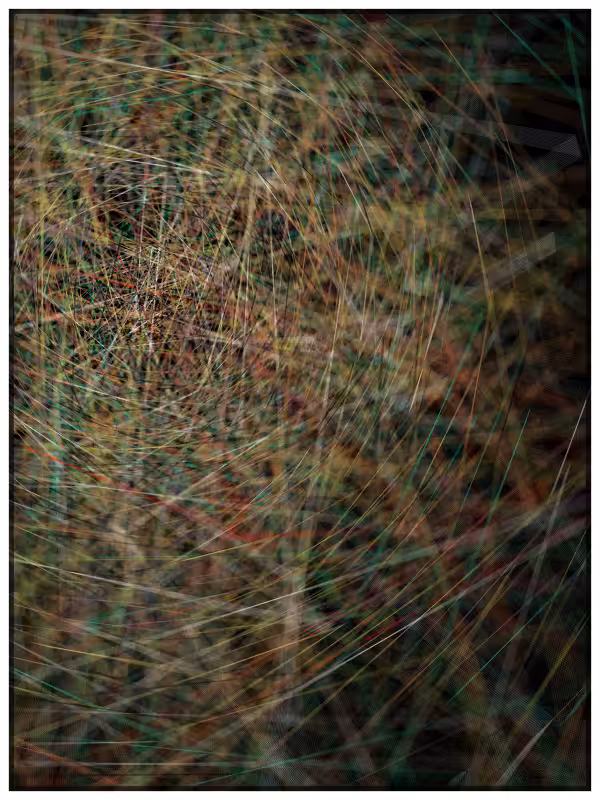 Haystack in a Needle #8