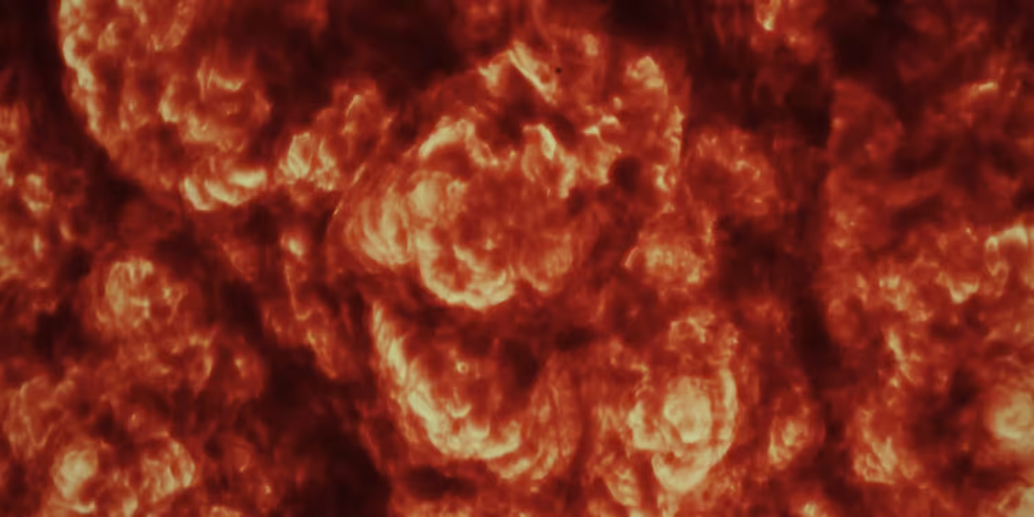 Combustion  III