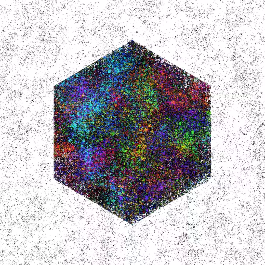 the hive