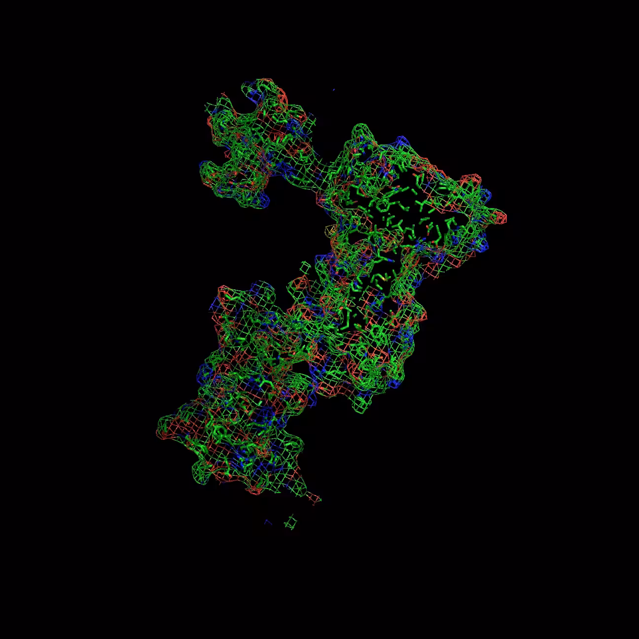 Prime Time – Taq polymerase matrix