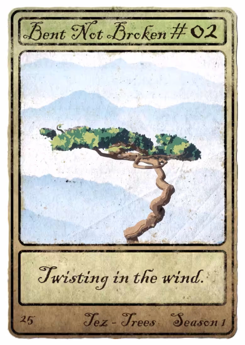 Tez-Tree #02 - Bent Not Broken - Season 1 