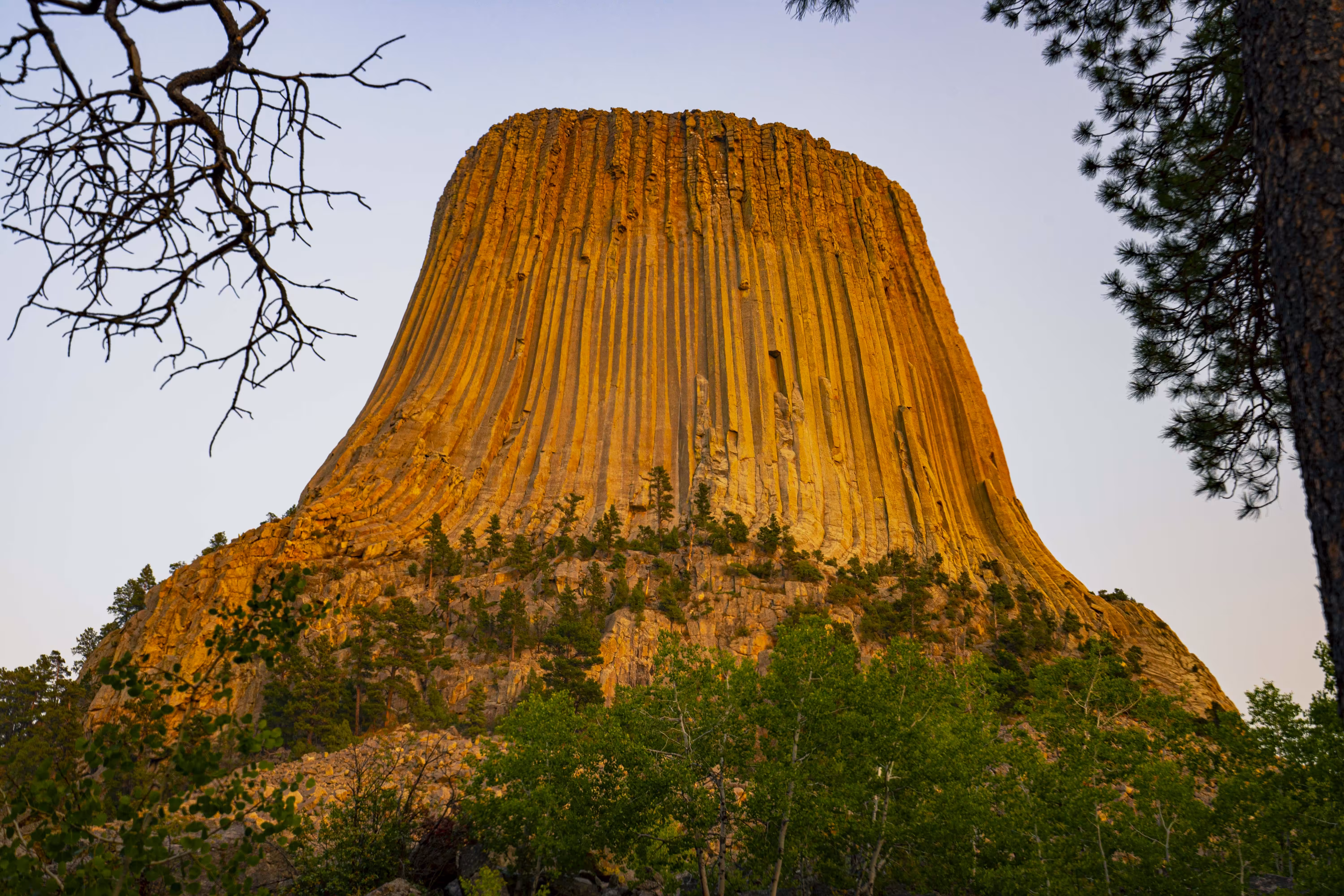 Devil's Tower