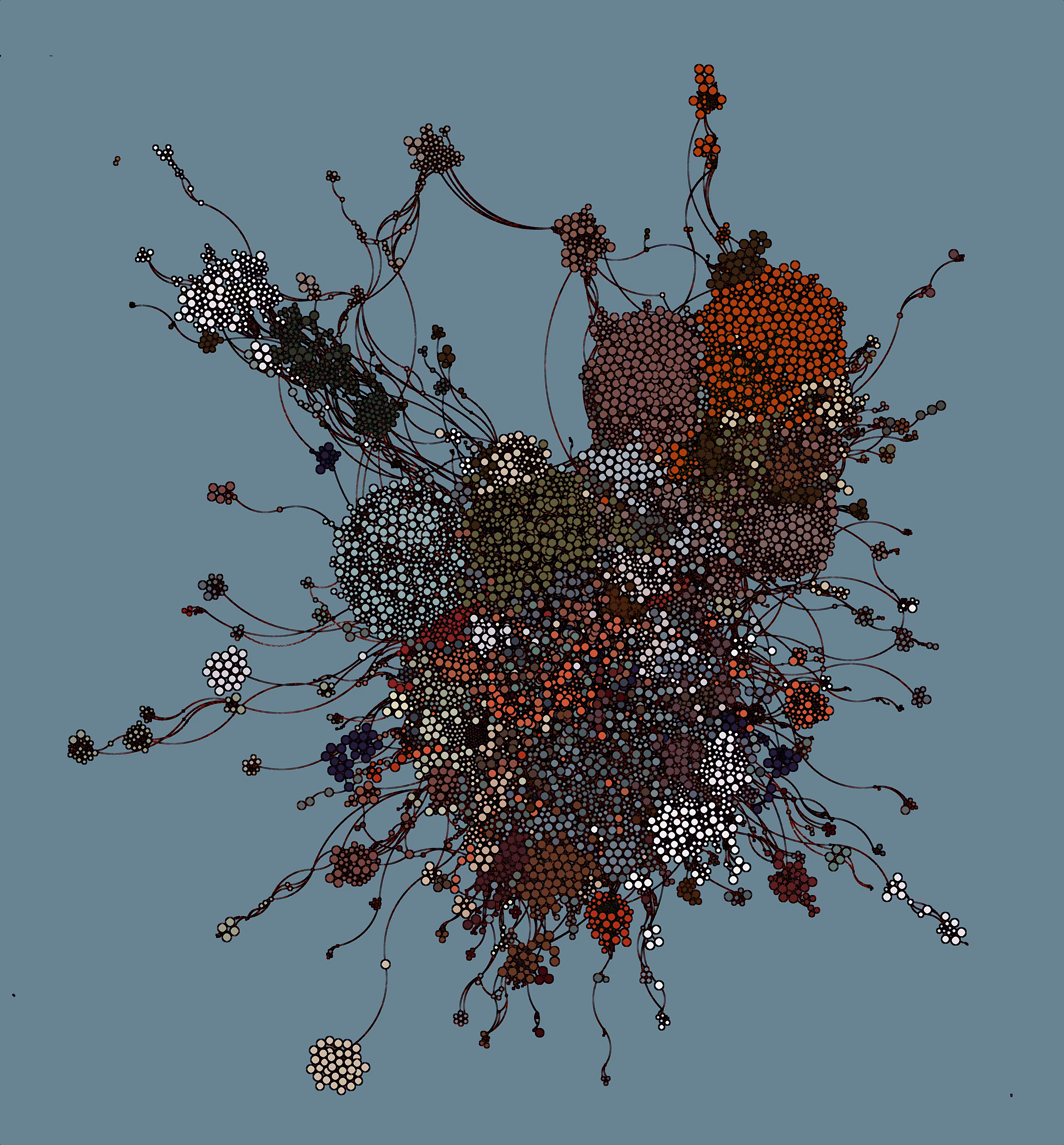 bunch of fruits