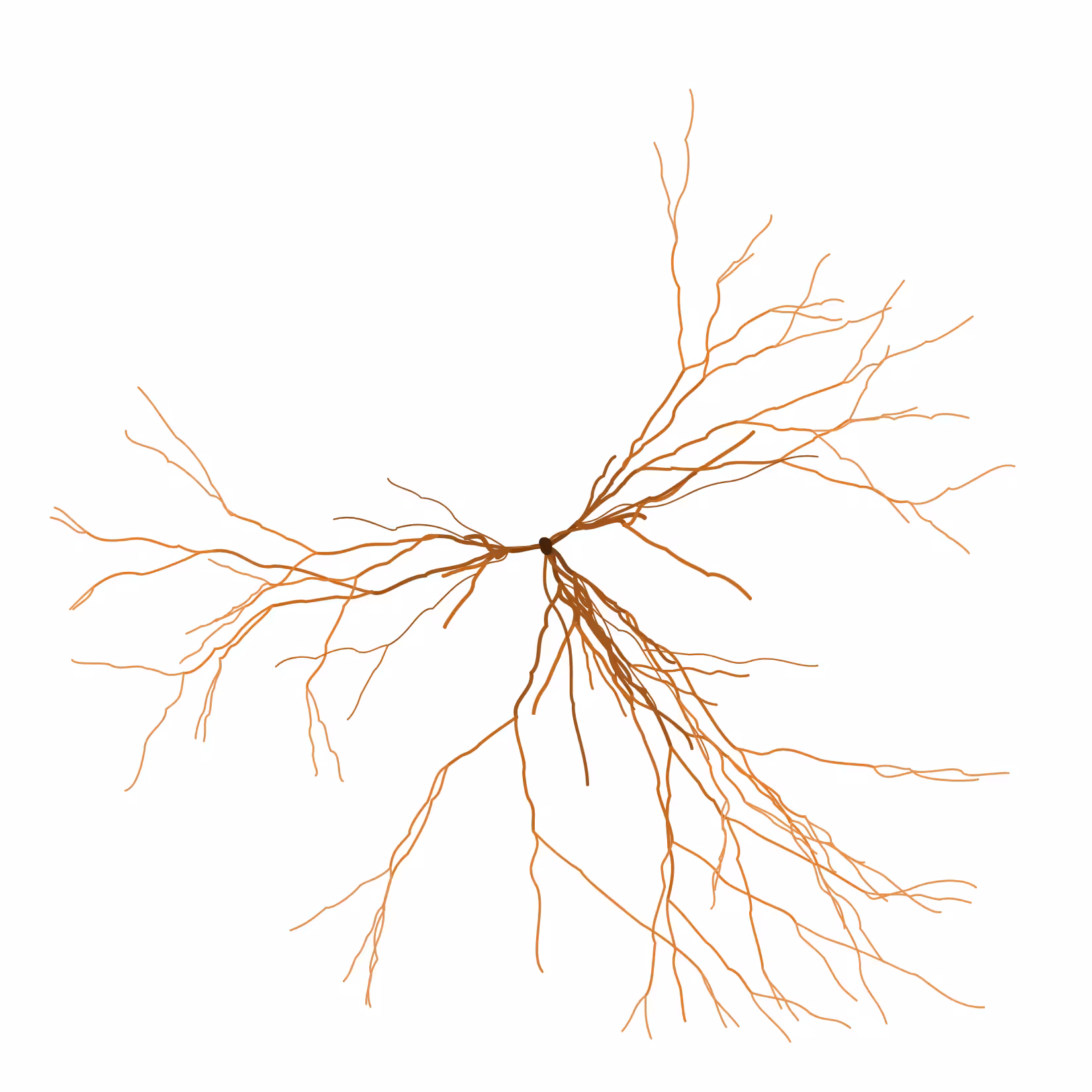 Ghost Forest Seedlings: Ghost Forest Seedling #429