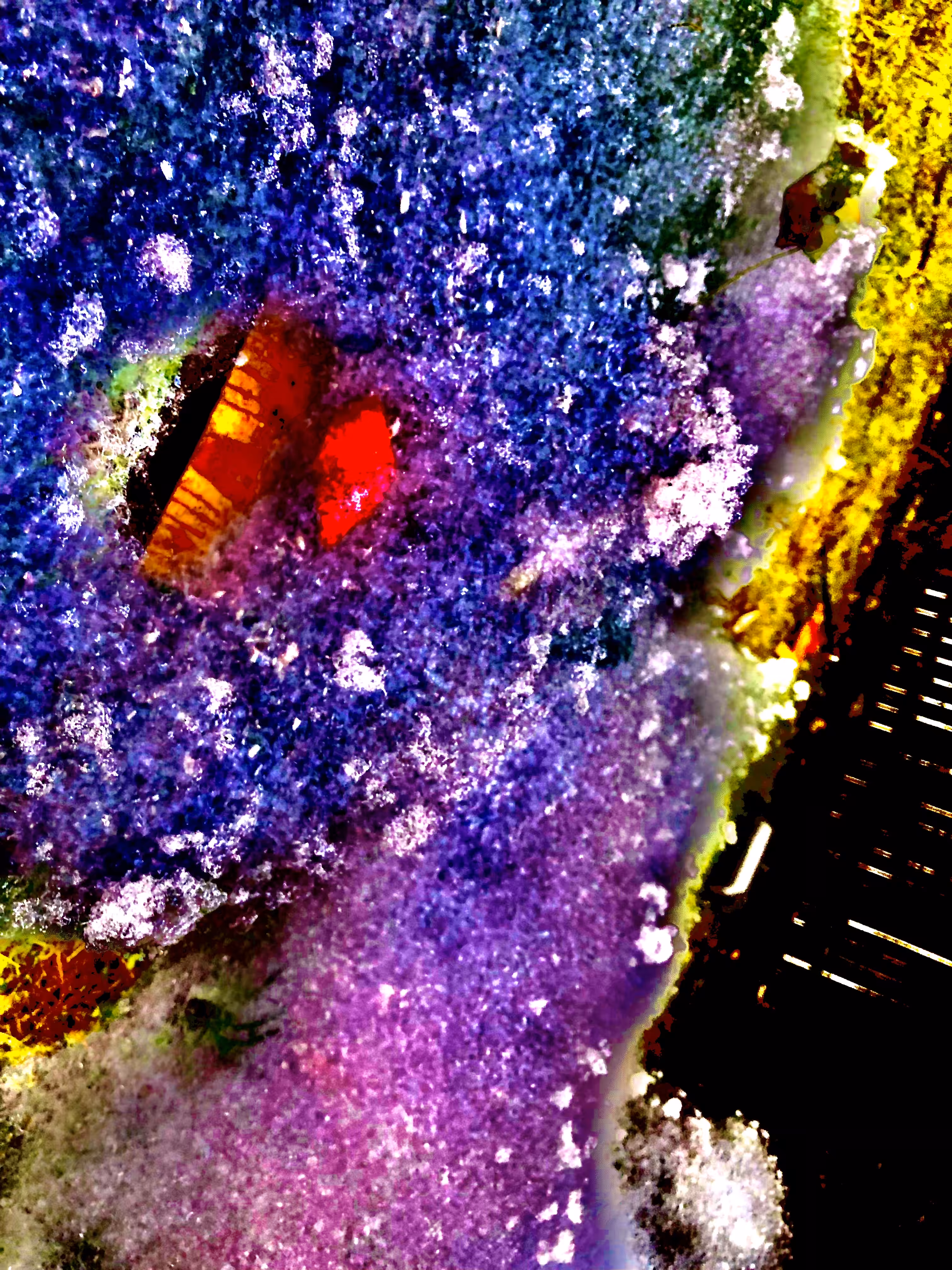 MEMORIES IN STARDUST - (1) "The Embryo"