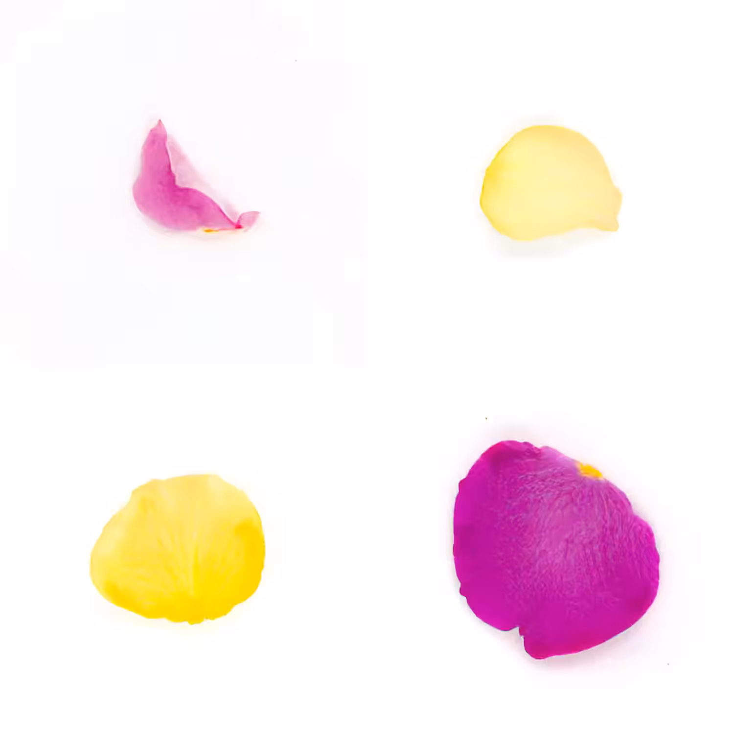 Infinite Petals 2x2#20028