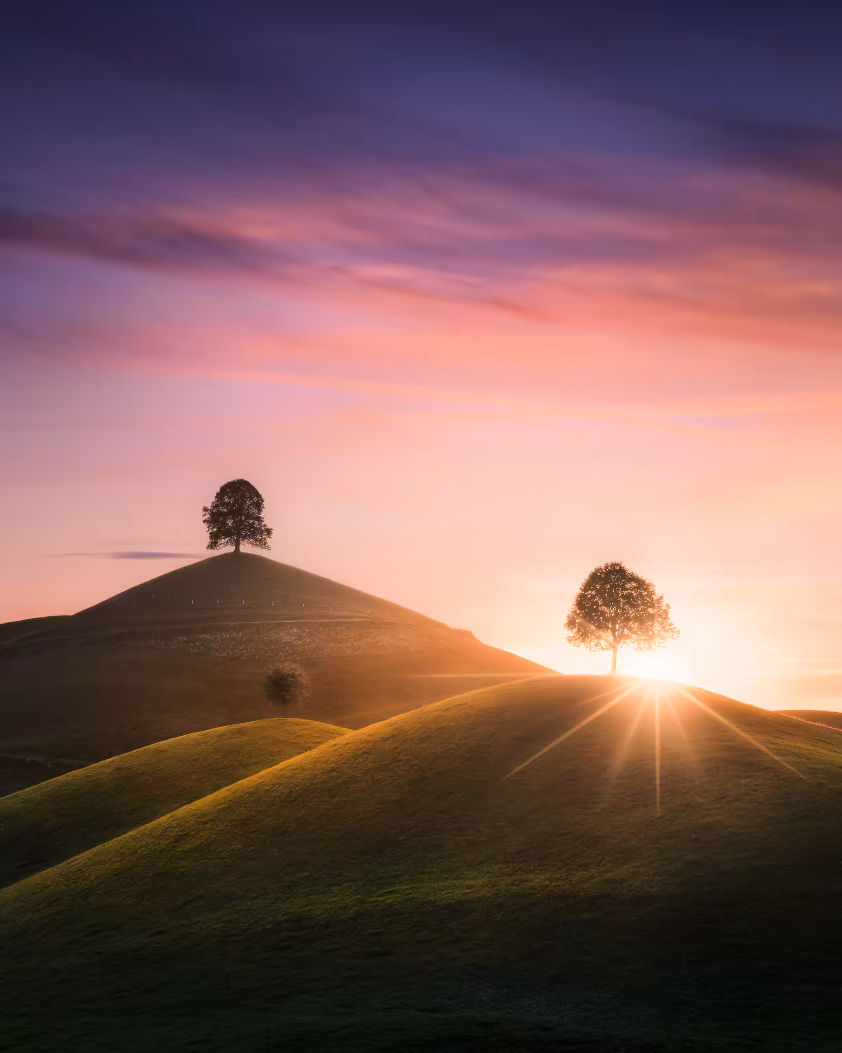Last Light Behind