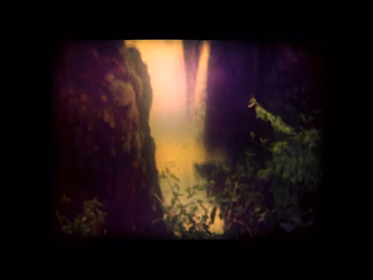 shifting waters