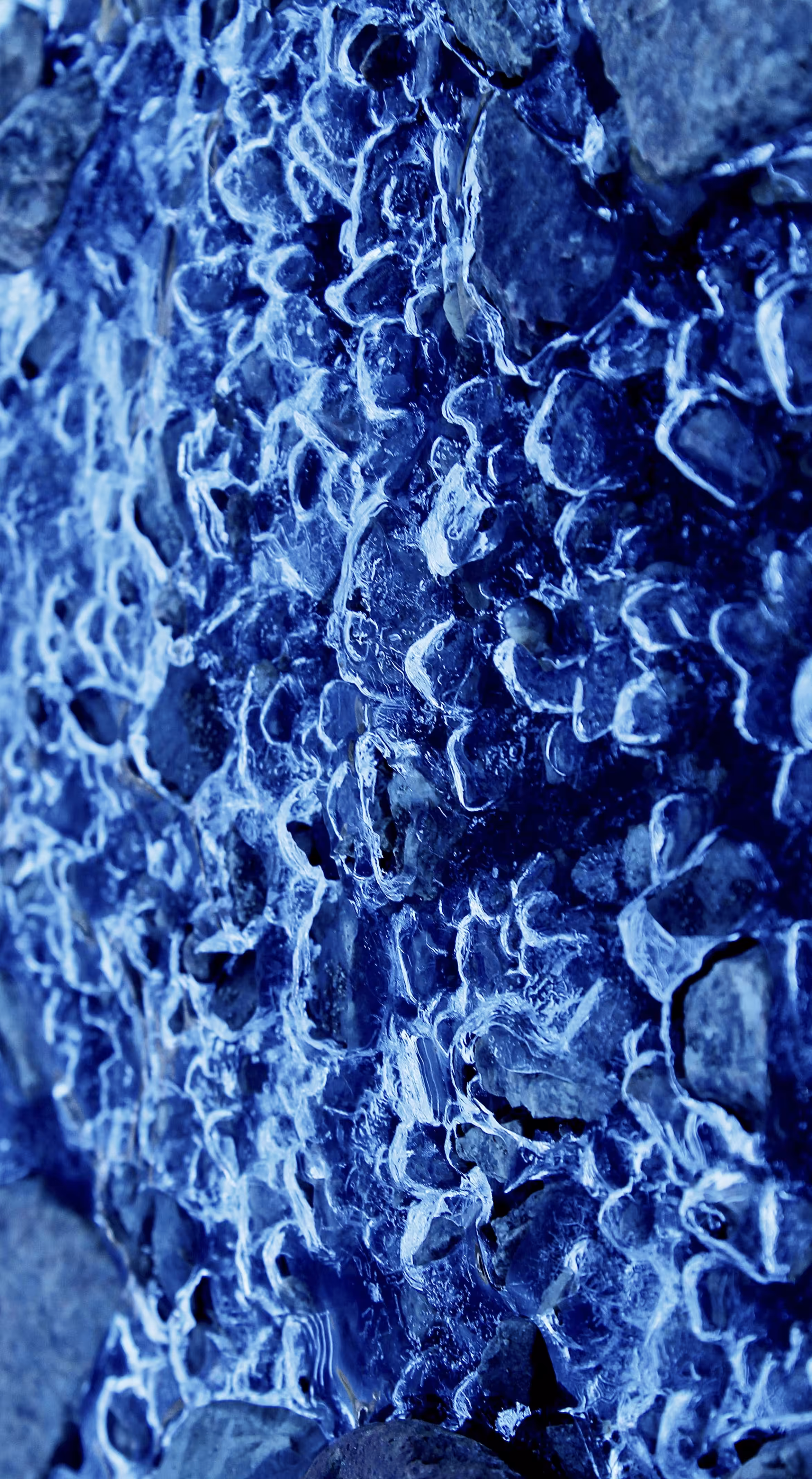 Abstract #4