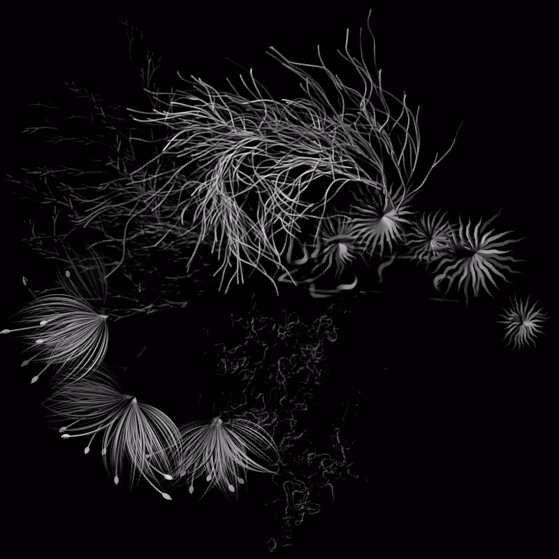 Botanical Ghosts #232