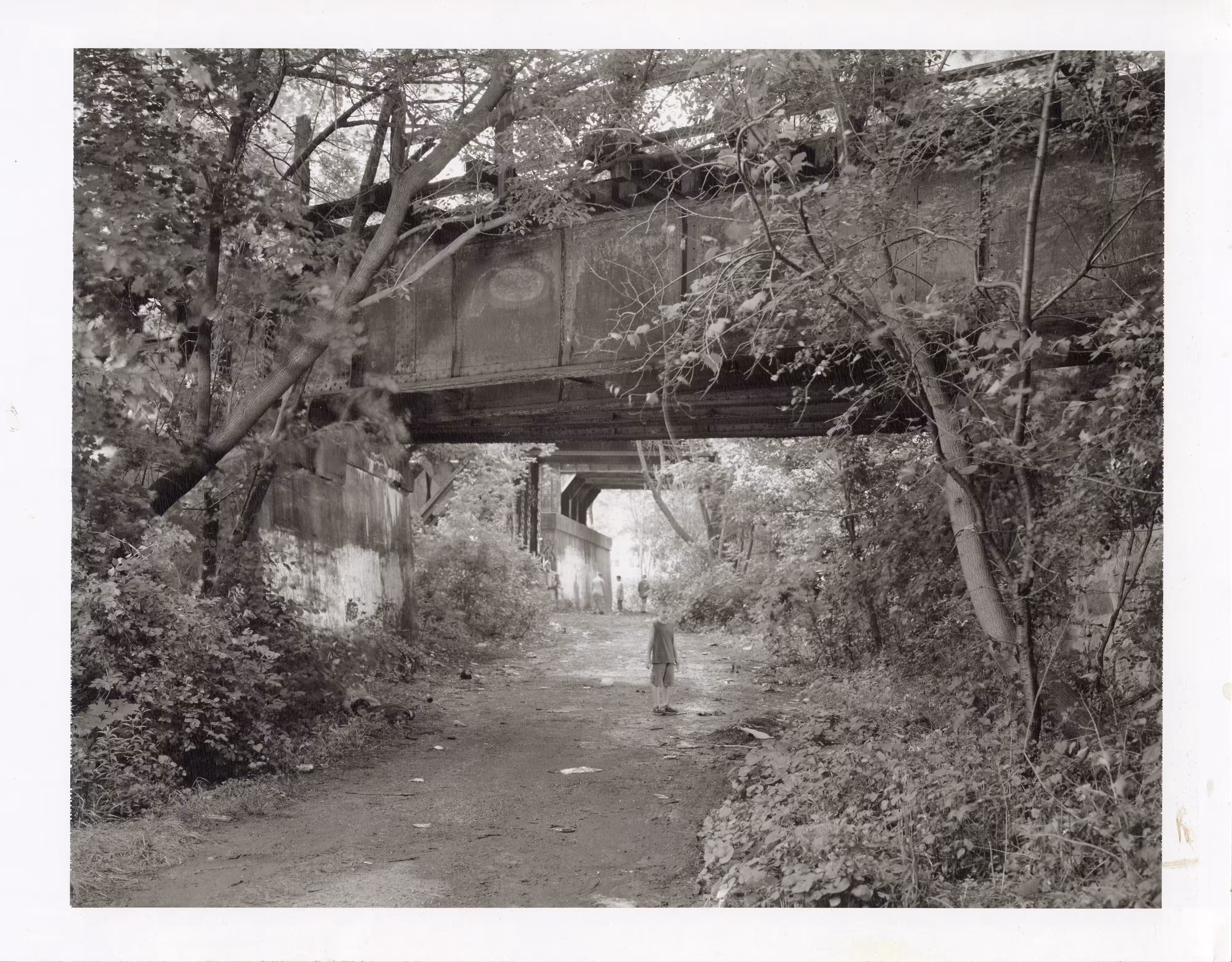 Beneath the Roses, 2003-2008 [Shane Bundle] 8 x 10 Black and White Polaroid Study [No. 2]