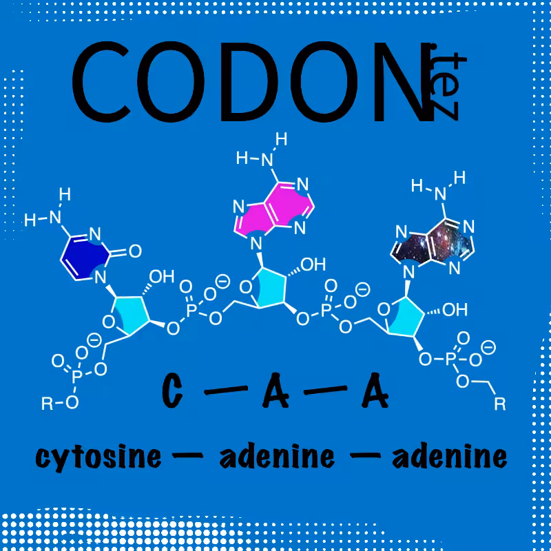 Codon Minter #6