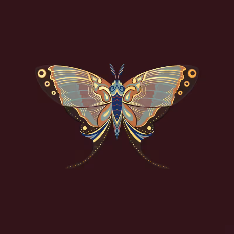 The Moth Experiment - Special Edition #13