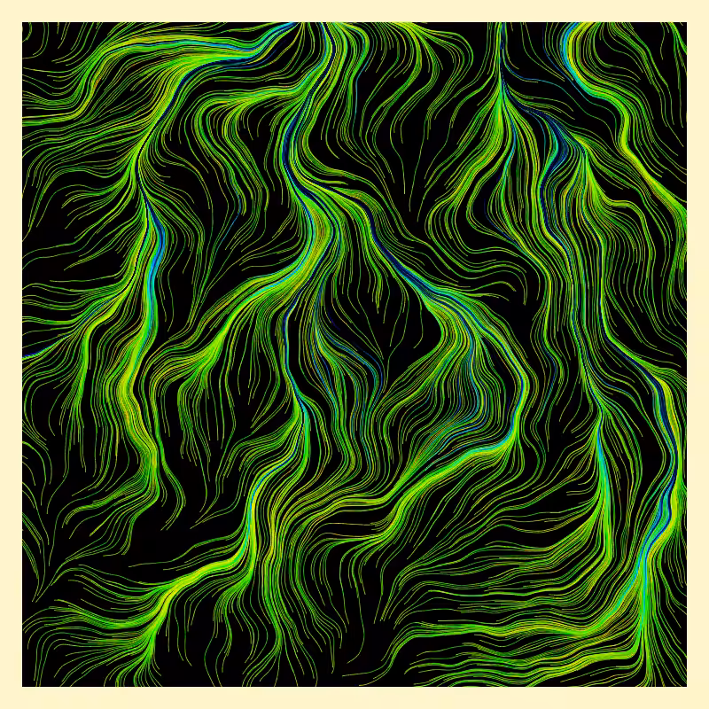 Roots #14