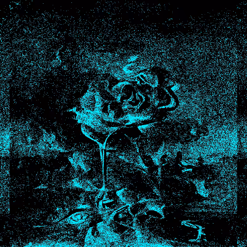 QUANTUM*FLOWERS #4