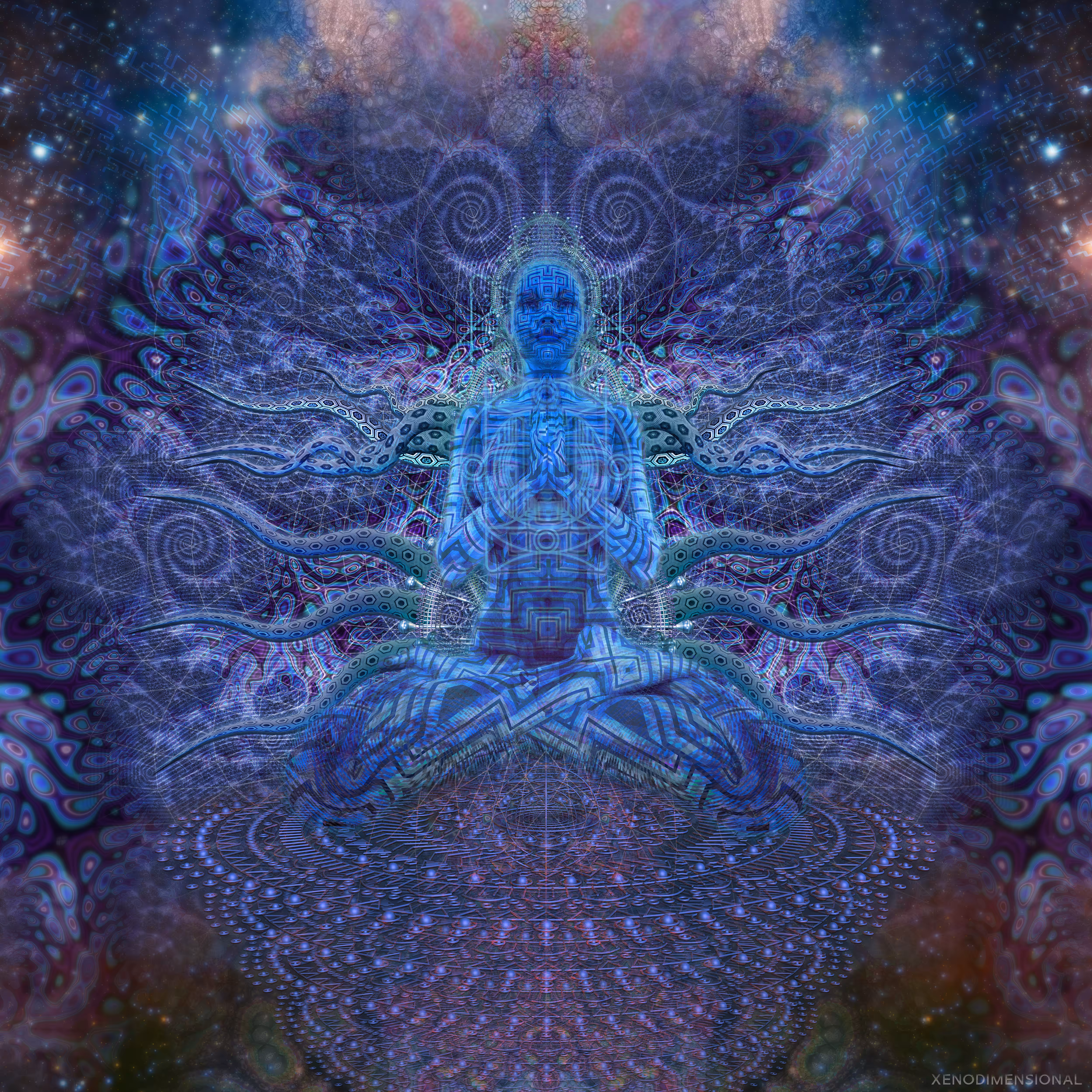 Morphokinetic Projections