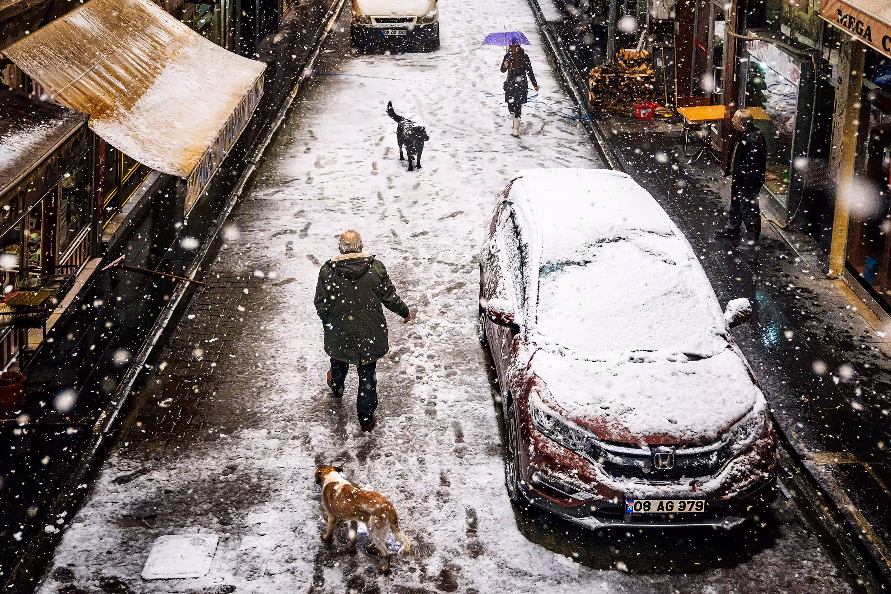 A Snowy Day