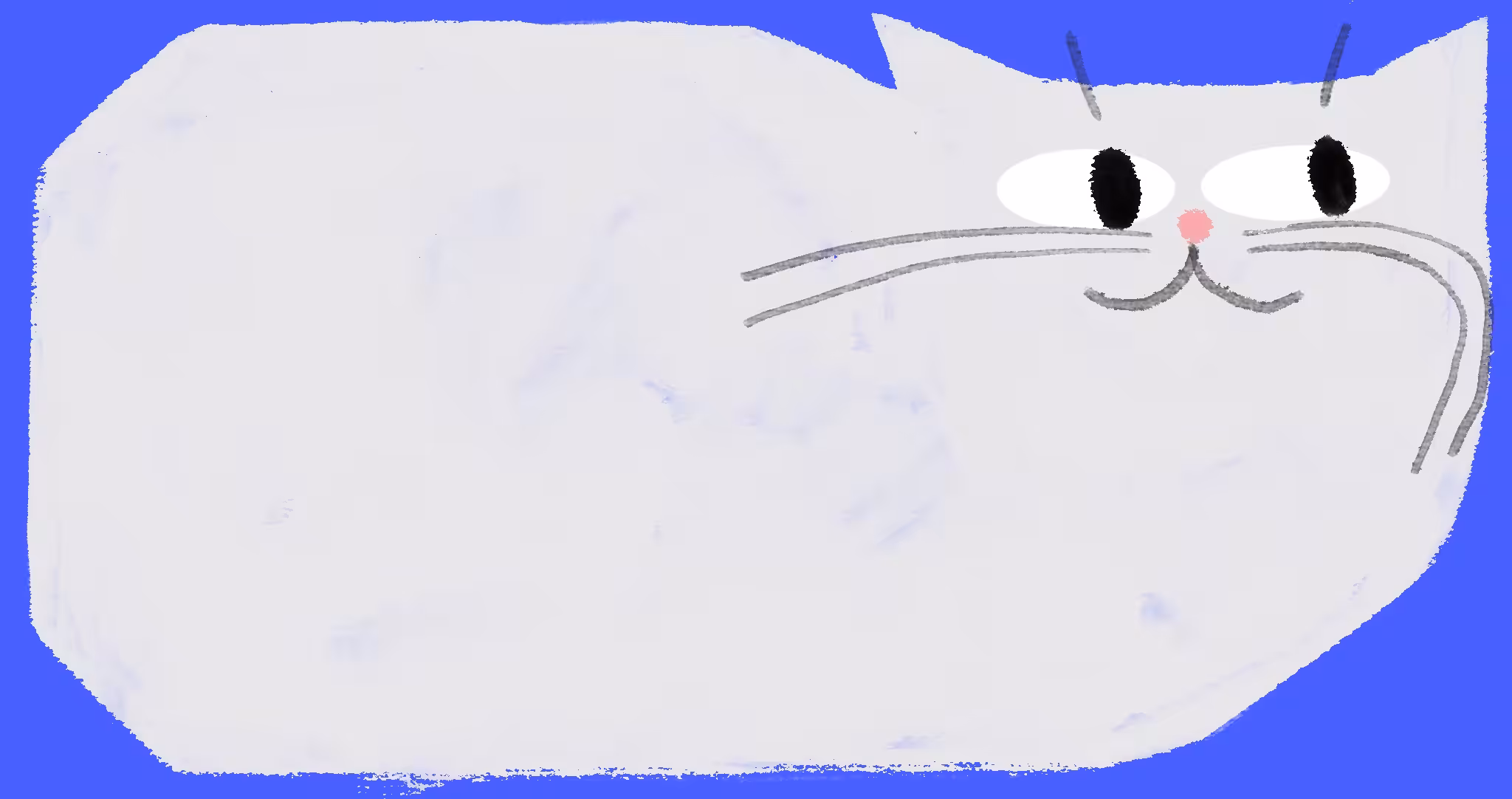 Box Cat - Snowball