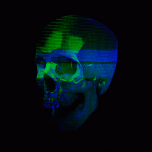 404SKULLS - 043