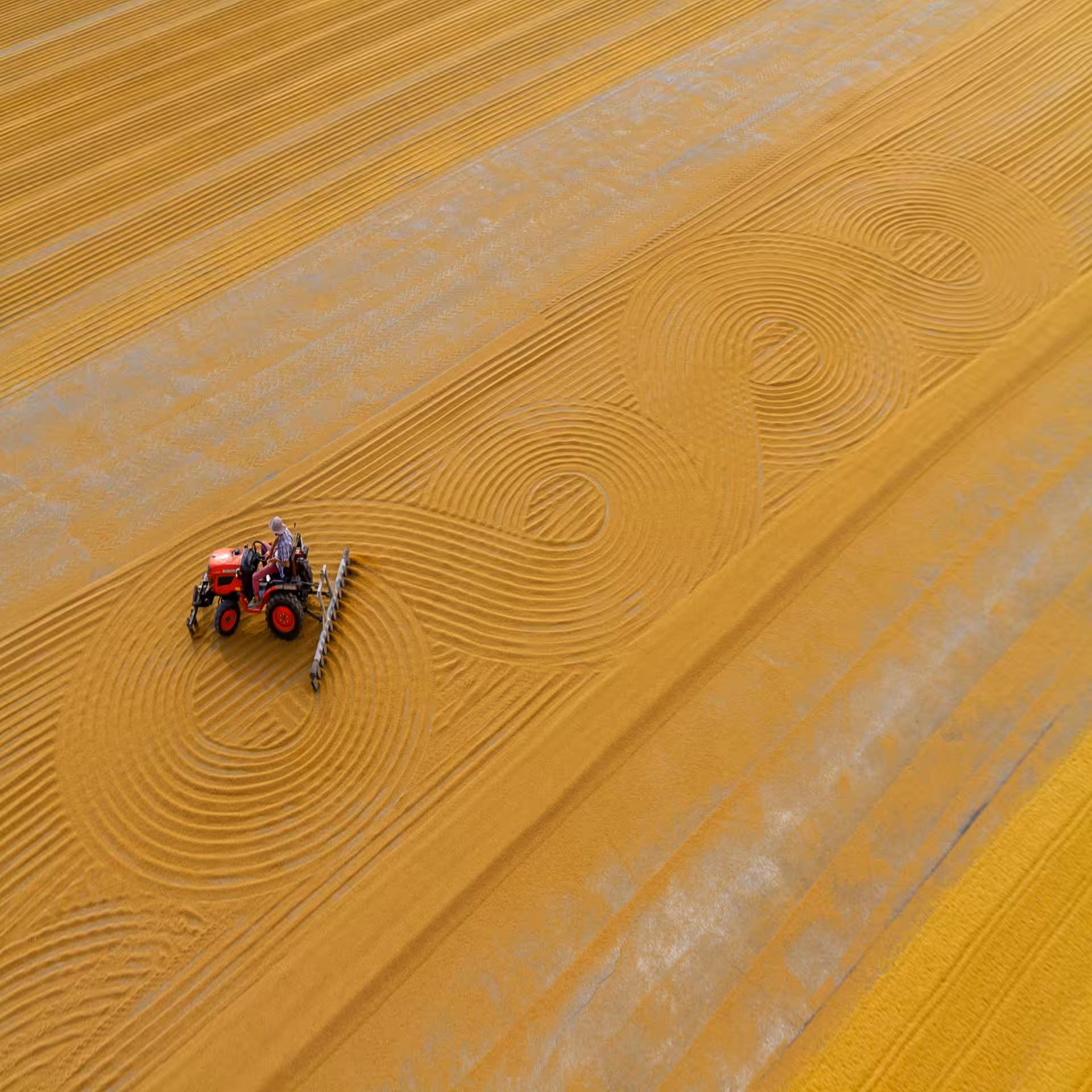 Yellow Horizontal