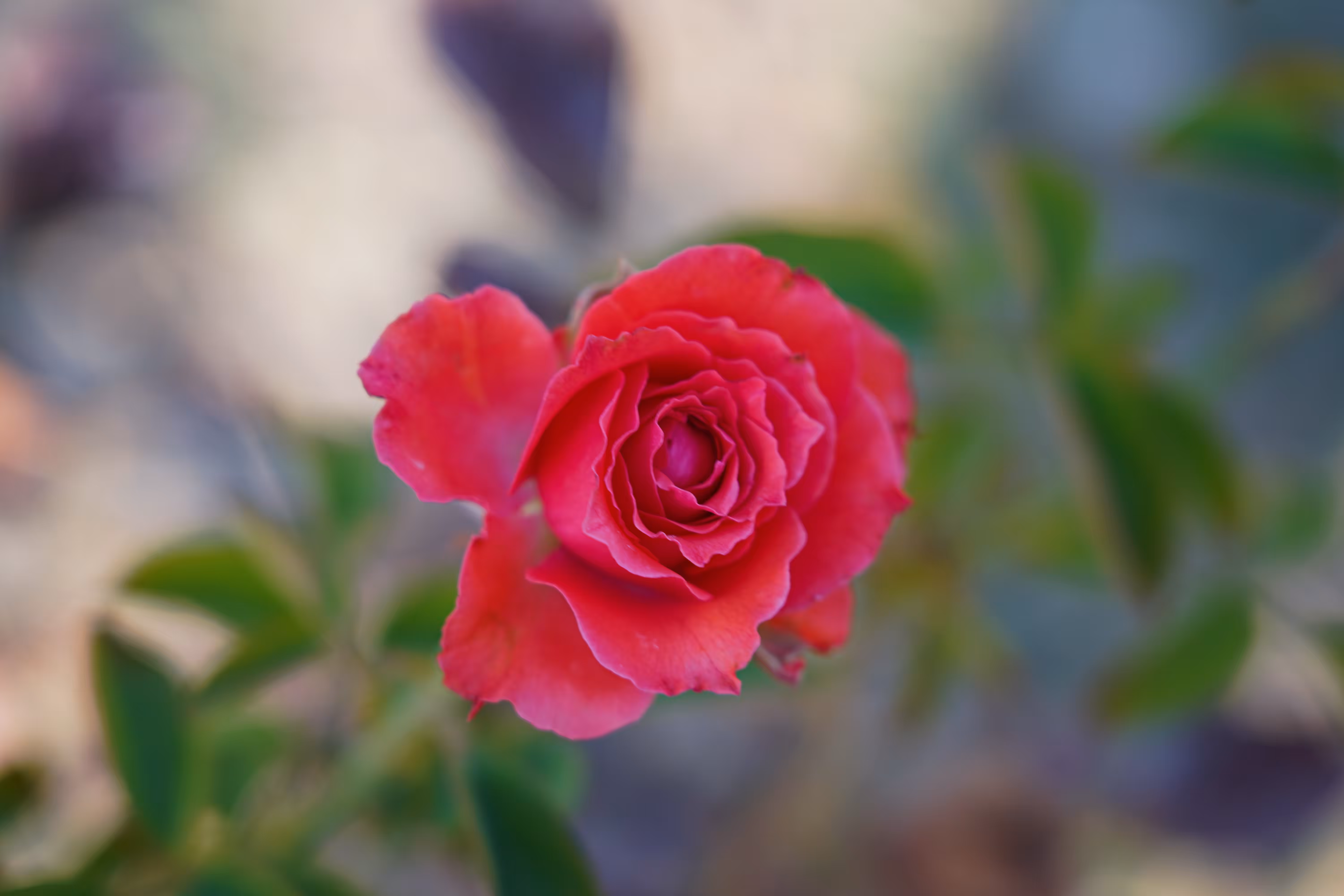 Red Silence