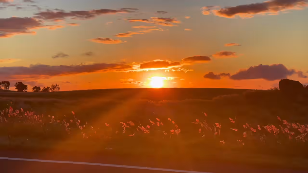 Majestic Hills 