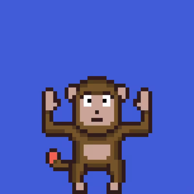 fxMonkeys #57