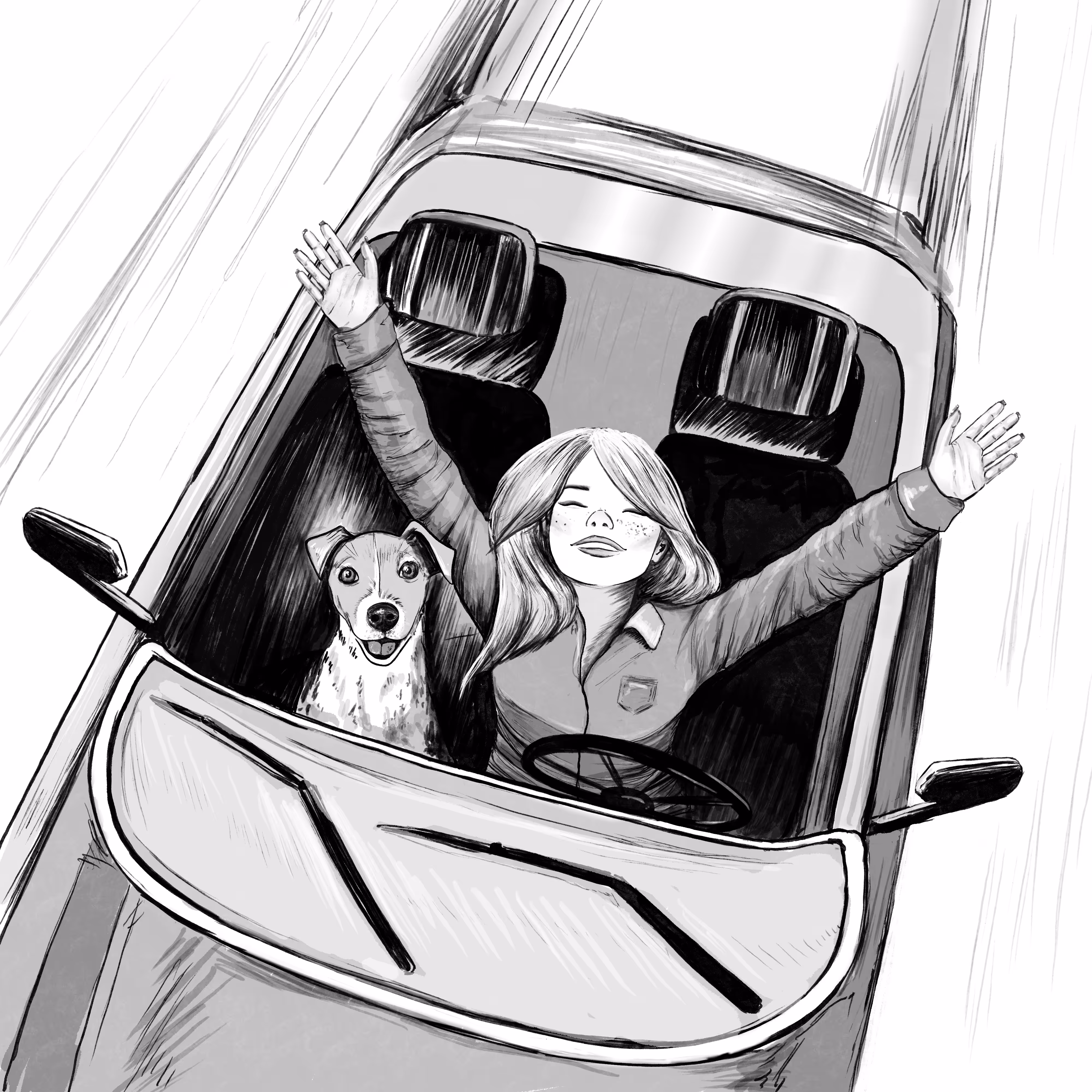 DRIVE