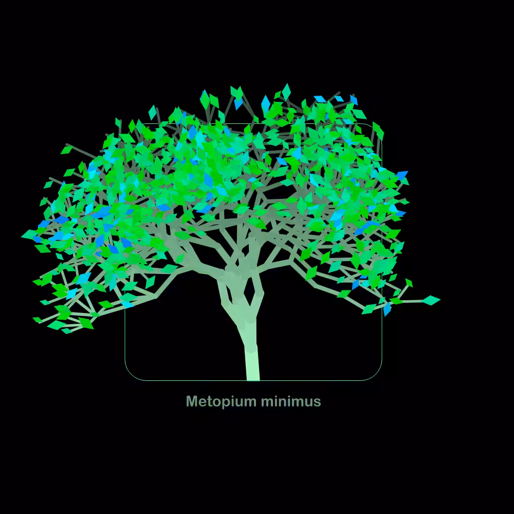 Fluidynamix - Trees #65