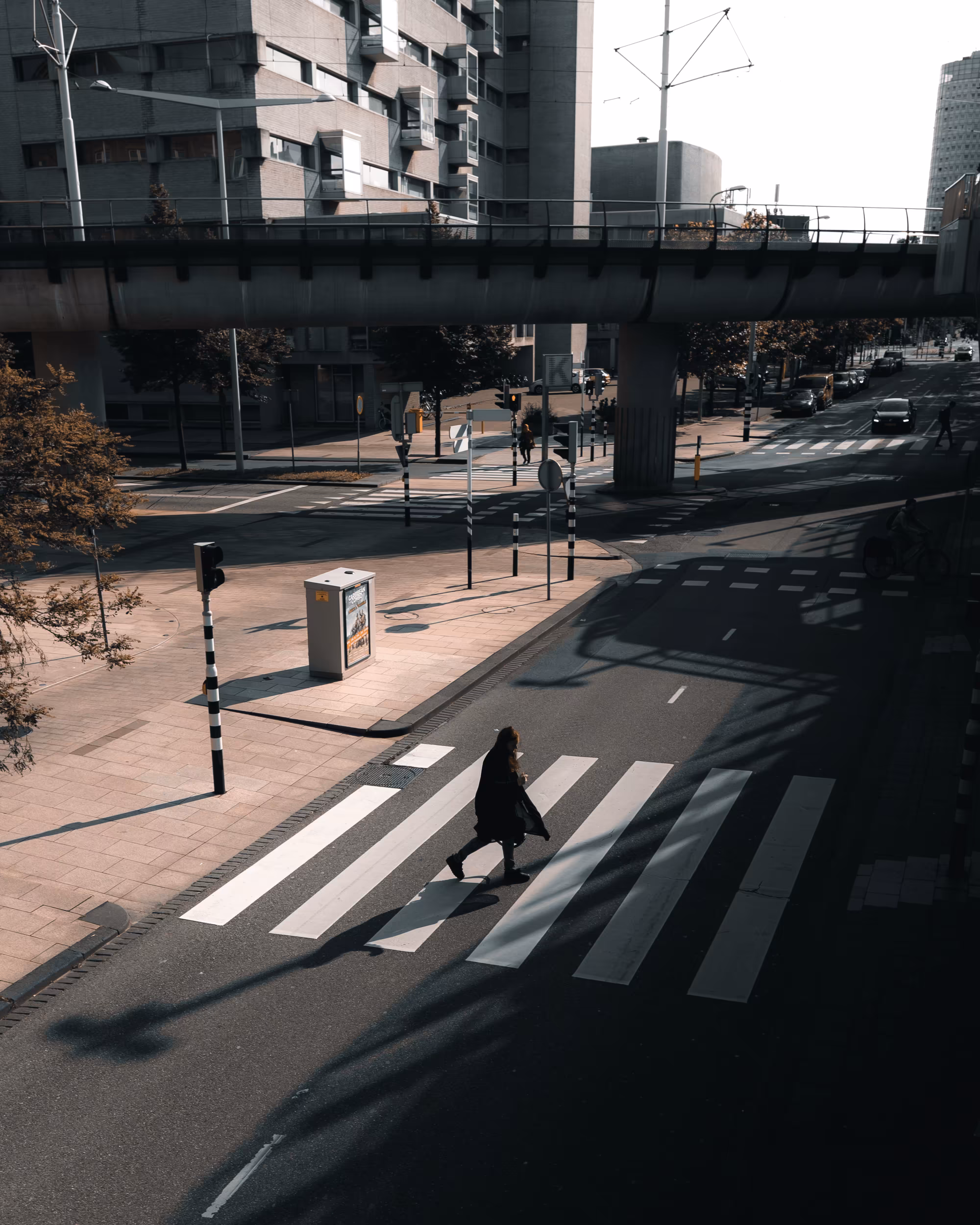 Stranger #31