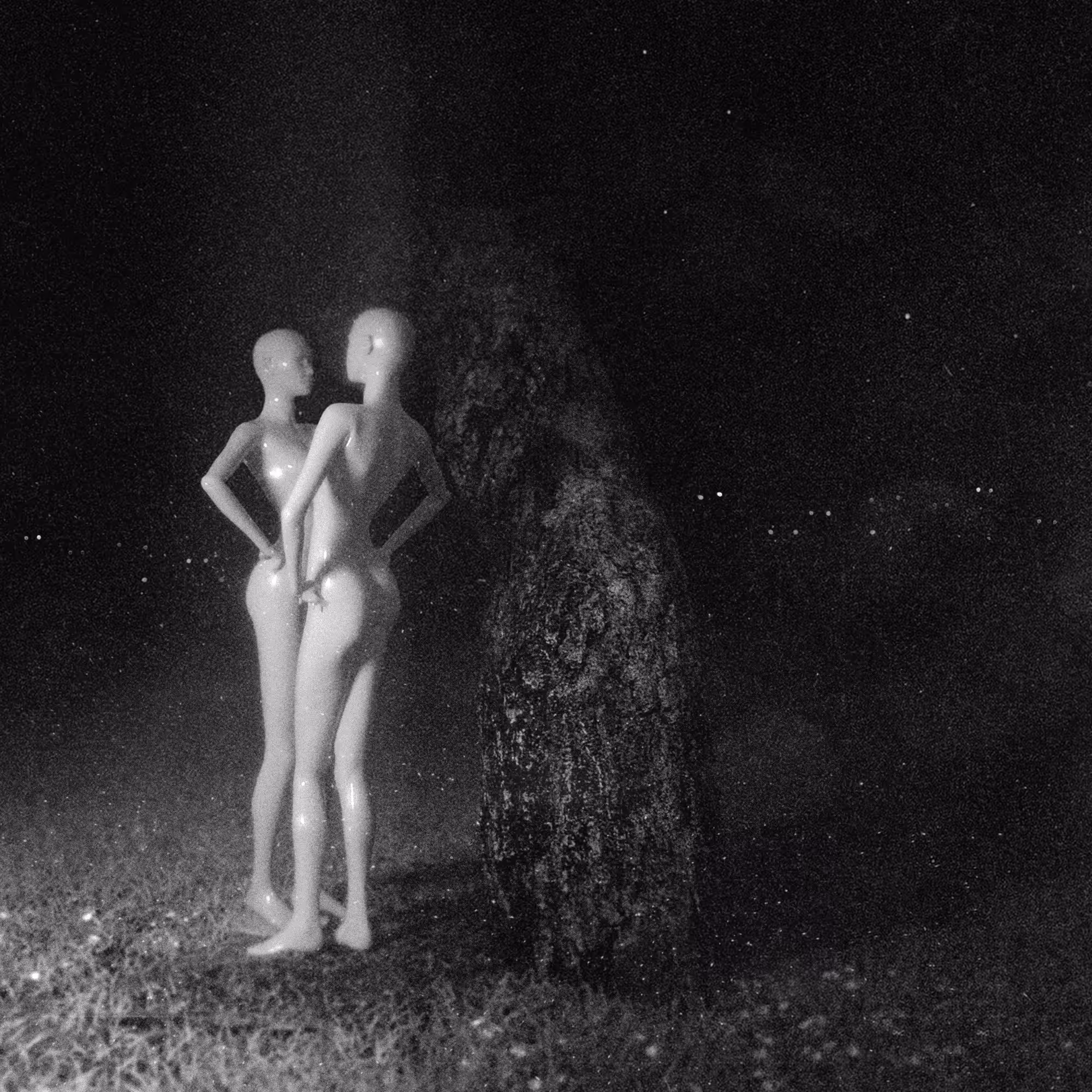 Voyeur #7