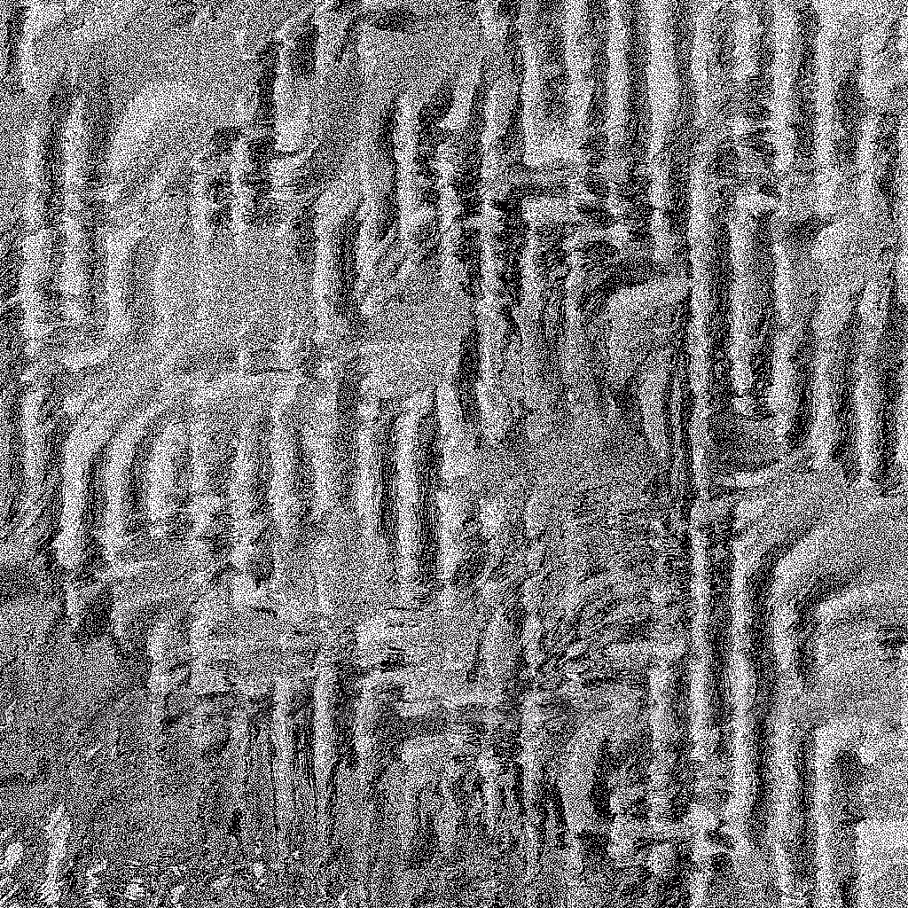 HIDDEN IN NOISE: Noise #863 
