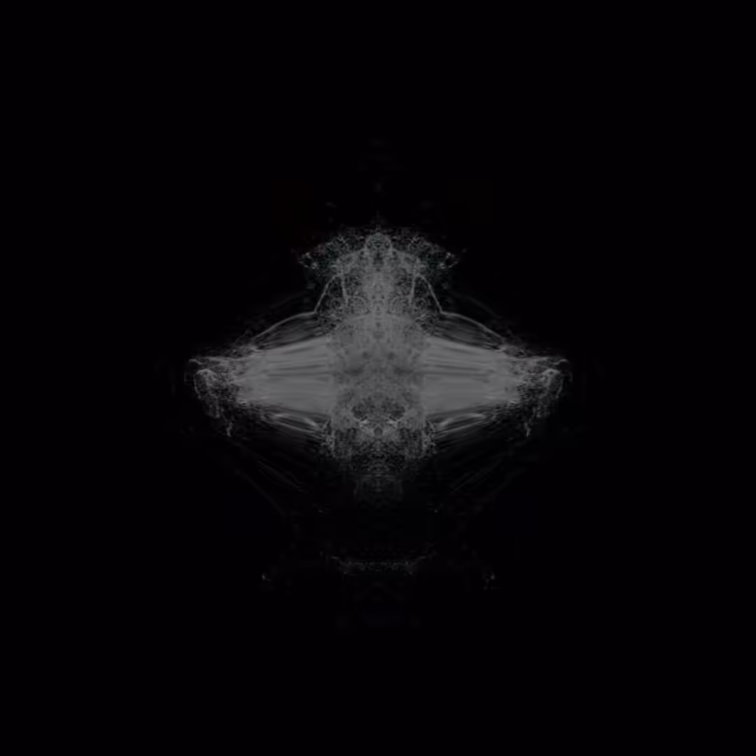 Dark Noise
