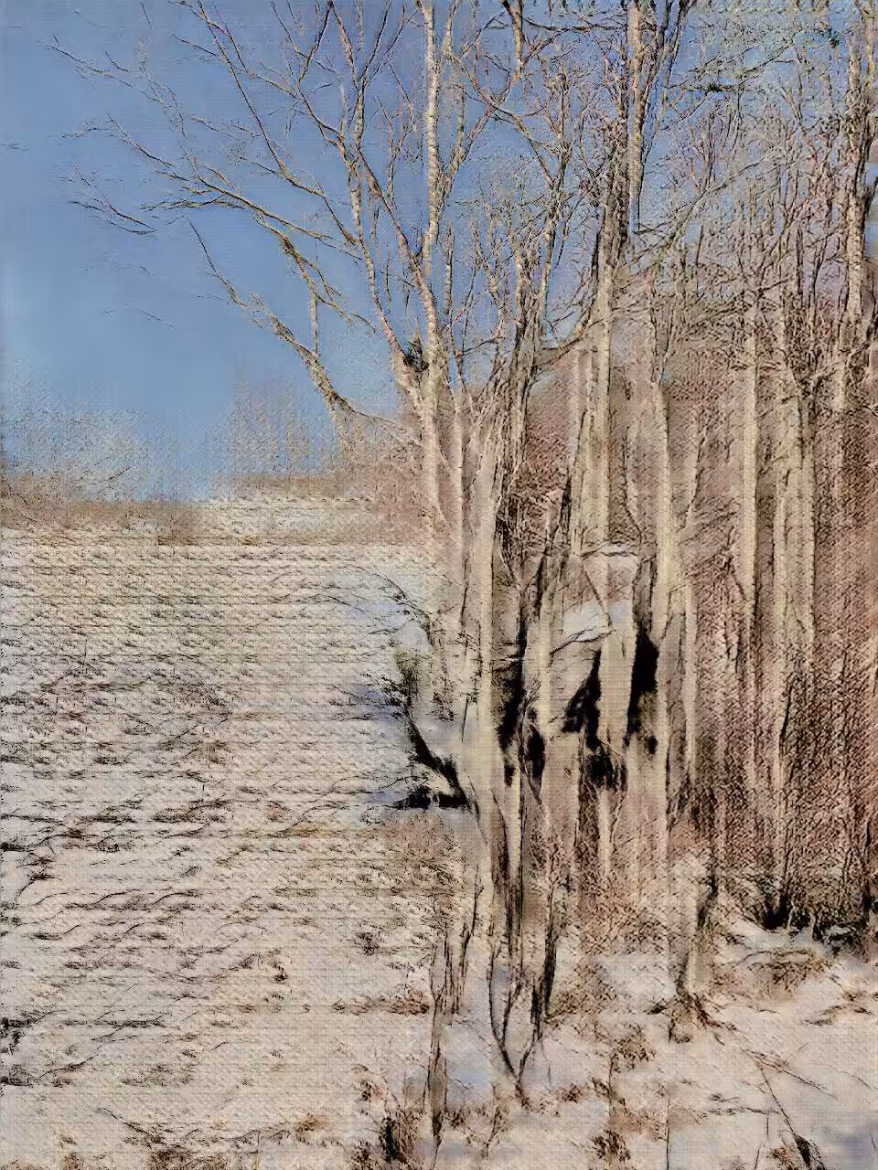 Learning Nature (b60b,3203)