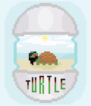TURTLE 'EVIL PIRATE'