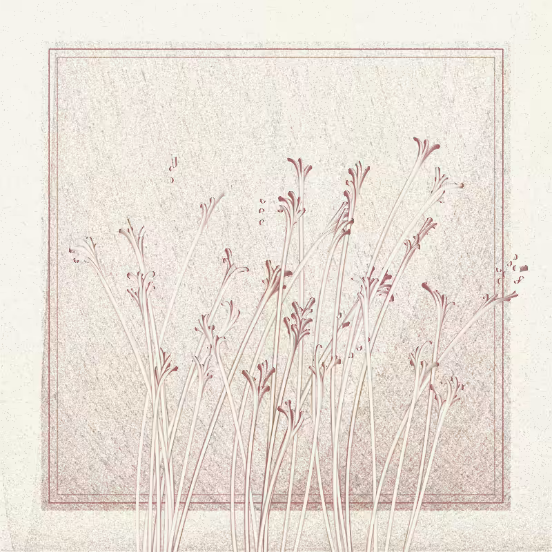 string_pllu #113